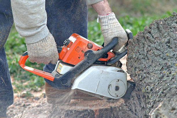 Soil Testing and Treatment in Adelphi, MD